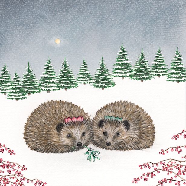 Two Hedgehogs