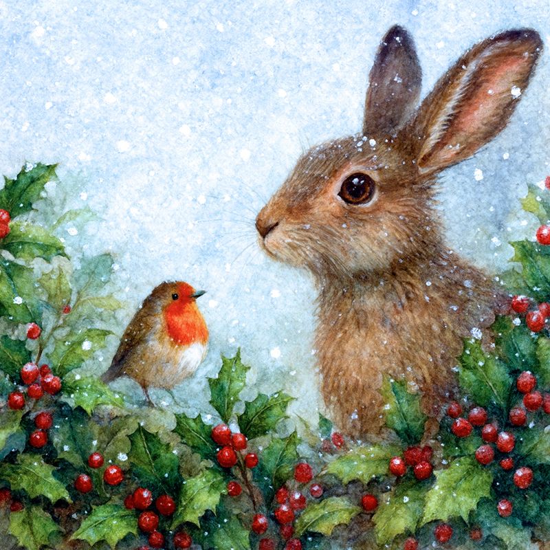 Robin and Hare Christmas