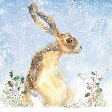 Hare in the Snow