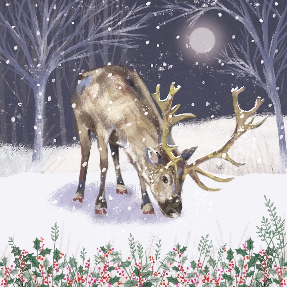 Winter Reindeer