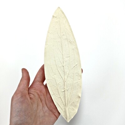 Молд «Лист пиона», размер 21/6,5 см, материал - пластик