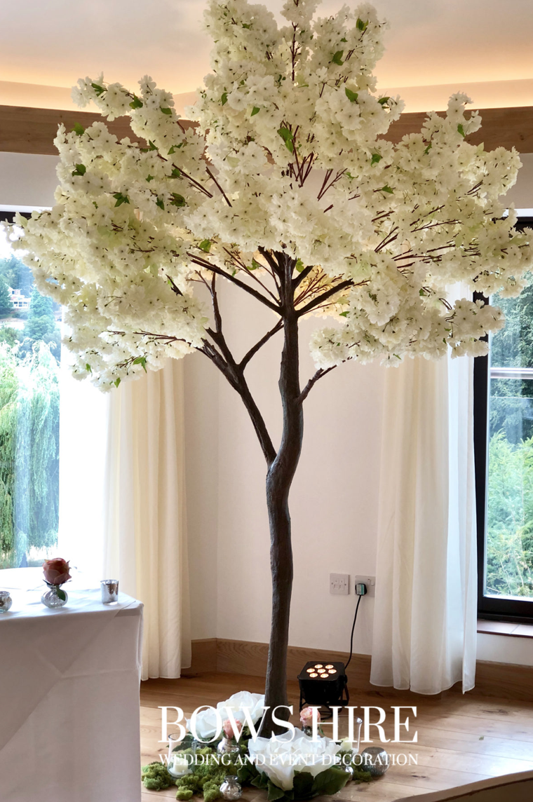 280cm Cream Blossom Trees