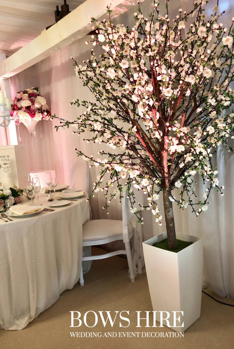 220cm Blossom Trees in White Pot