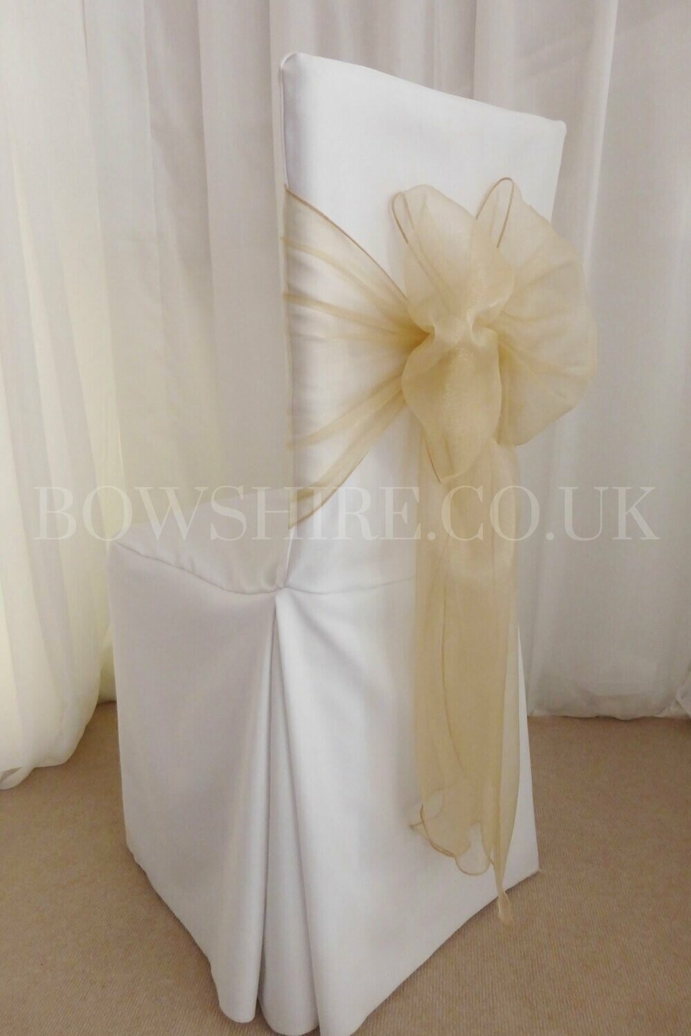 Champagne Wide Organza Sash