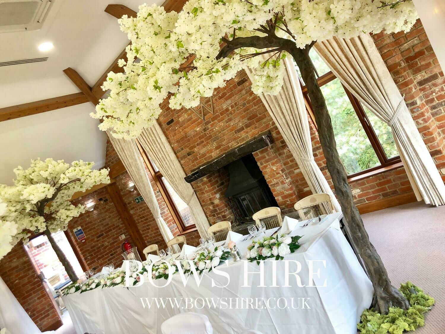 320cm Cream Blossom Canopy Trees