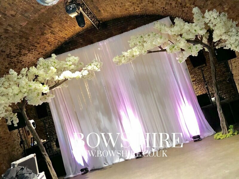 Uplighter Backdrop
