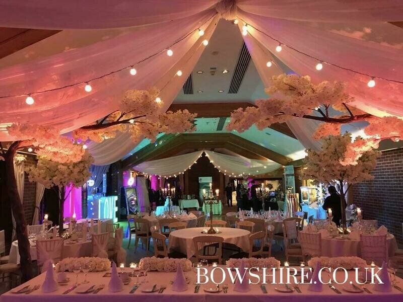 Festoon Lights for hire, lighting by Bows Hire, photo 3