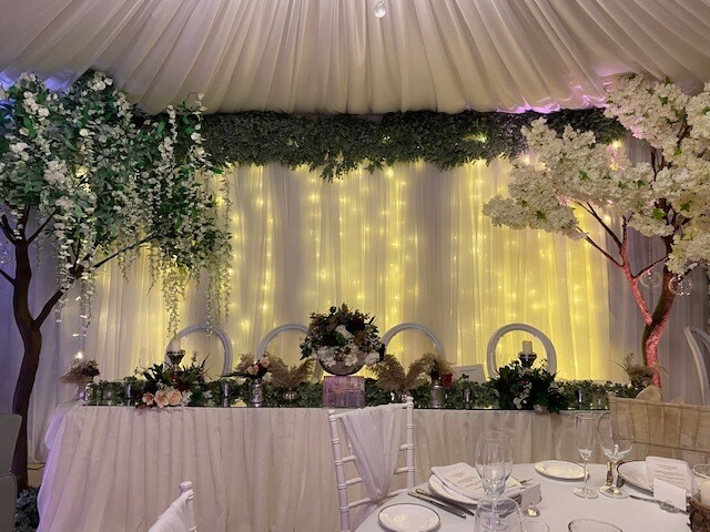 Starlight Backdrop with Eucalyptus