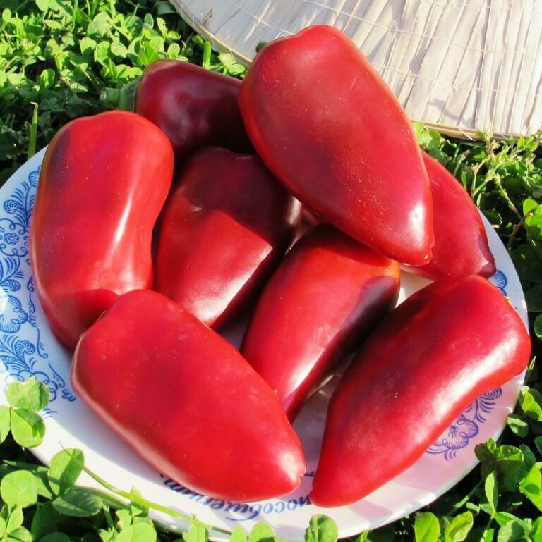 Перец Сладкая Помада - Pepper Sweet Lipstick