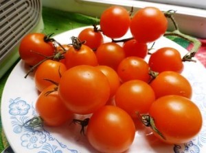 Крупные Черри помидоры Bursztyn