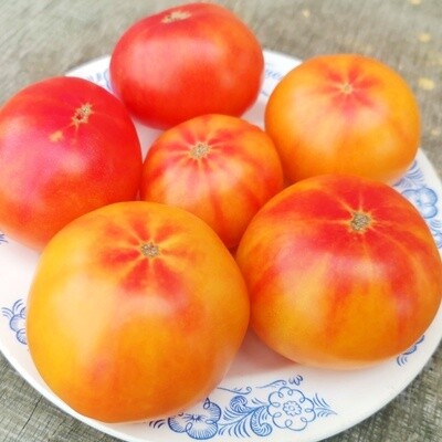Помидоры Головокружительный Русский - Russian Swirl Dwarf Tomato