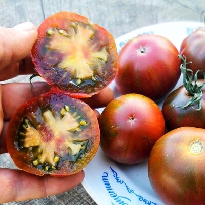 Помидоры Карлик Дельта - Delta Dwarf Tomato