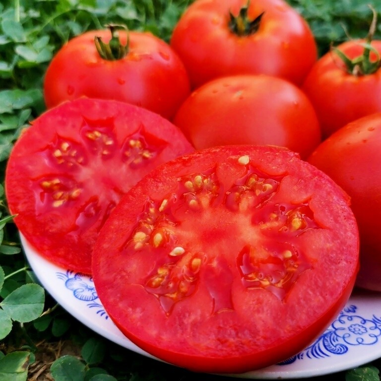 Помидоры Маленький Ручей - Tomato Small Stream