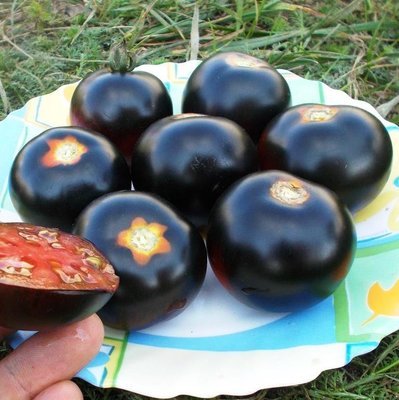 Помидоры Каштановый Шоколадный - Chestnut Chocolate Tomato