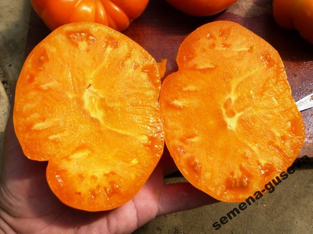Помидор Крупноплодный - Amana Orange