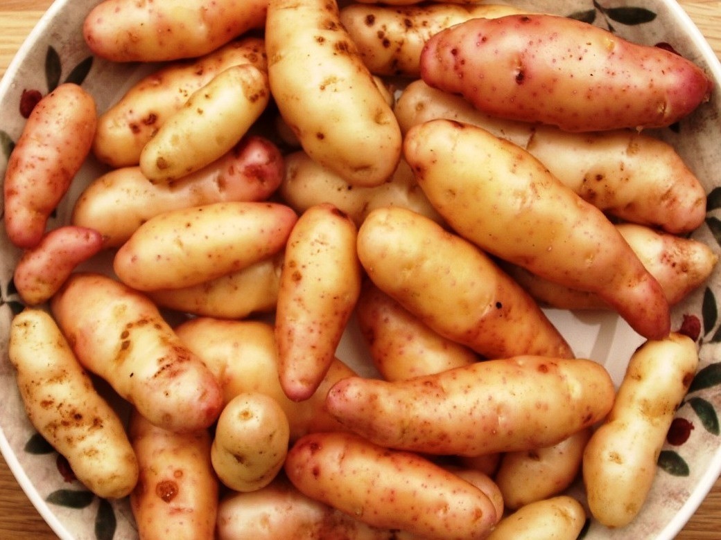 Картофель Дикий Аня - Wild Potatoes Anya - (15 клубней)