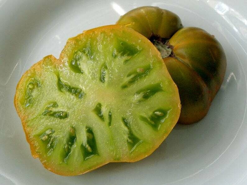 Aunt Ruby's Green Tomato (Solanum lycopersicum)