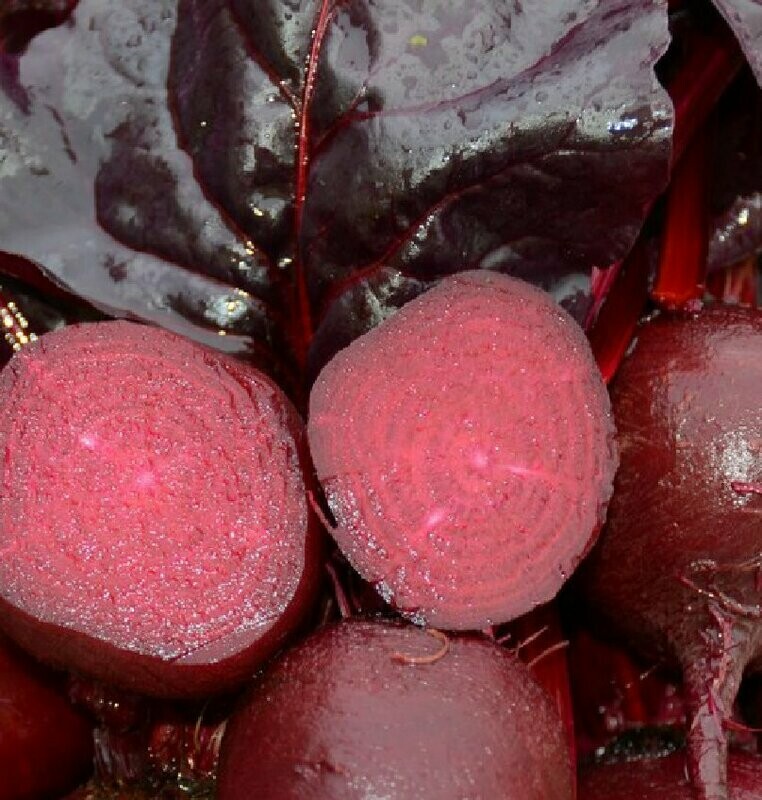 Bulls Blood - Beet Seeds