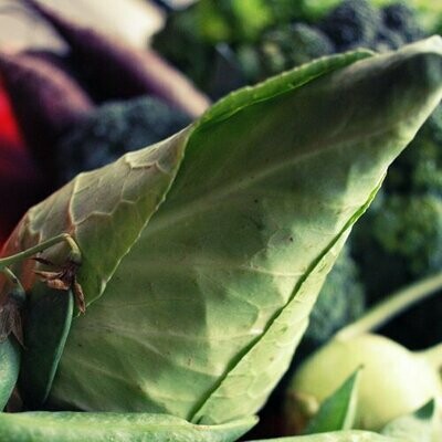Caraflex - Cabbage - Brassica capitata - Seeds