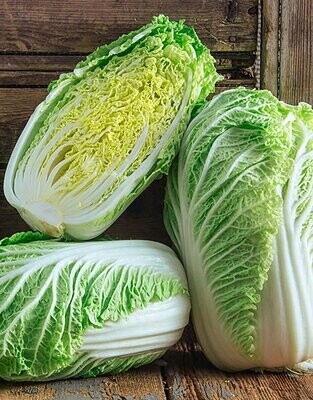 Minuet - Chinese / Napa Cabbage