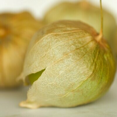 Tomatillo - Verde