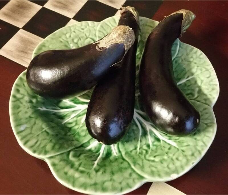 Orient Express - Eggplant Seeds