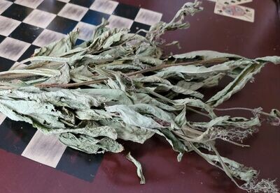 Comfrey - Dried Leaves - Symphytum officinale - 3 oz.