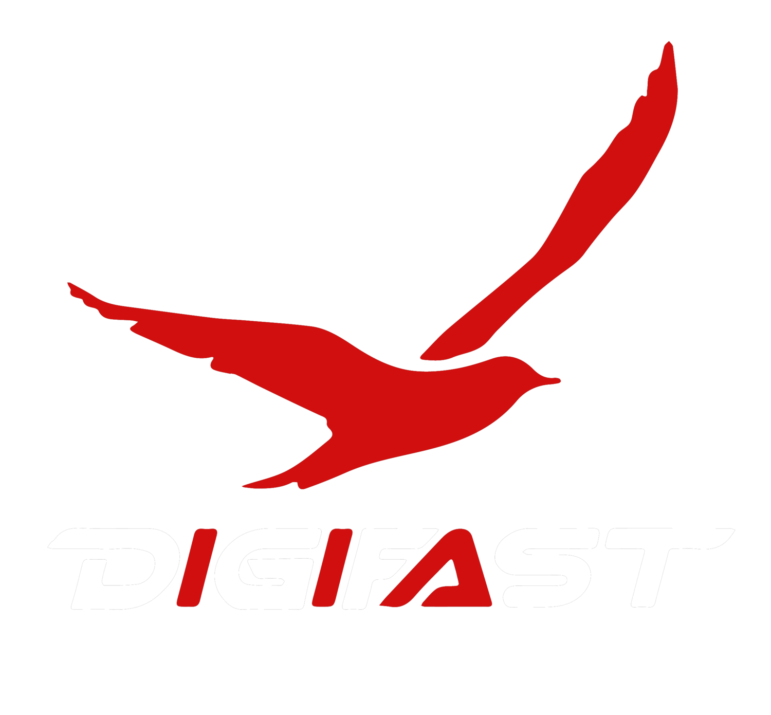 DigiFast