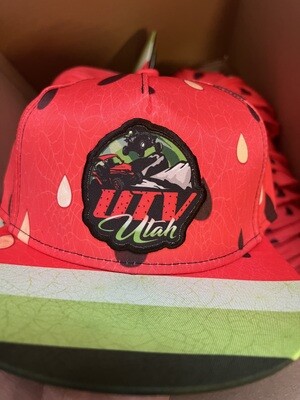 Watermelon Crawl Flat Brim Snapback Hats (pickup at the ride) Watermelon Crawl Flat Brim Snapback Hats (pickup at the ride)