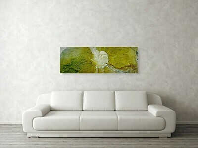 Bacterial Heart