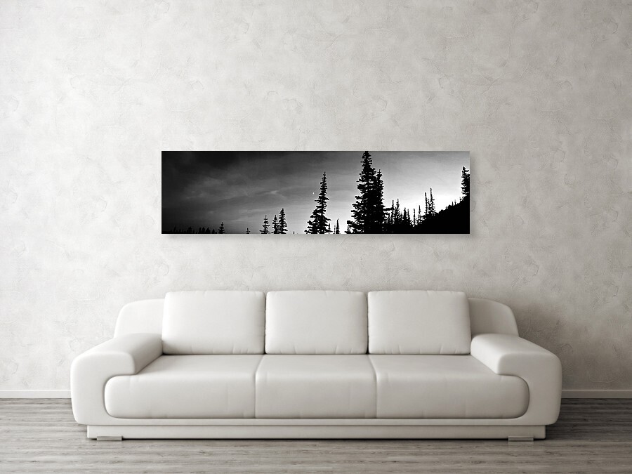 Forest in Grey