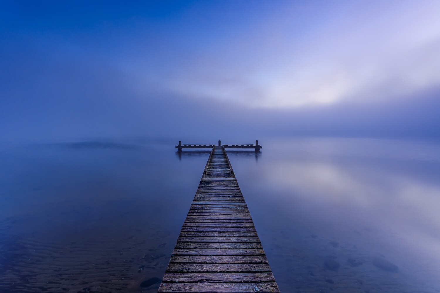 Foggy Sunrise Lake Rotorua