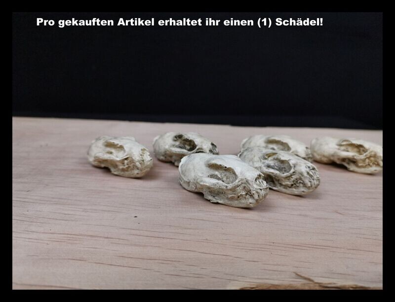 Nerzschädel