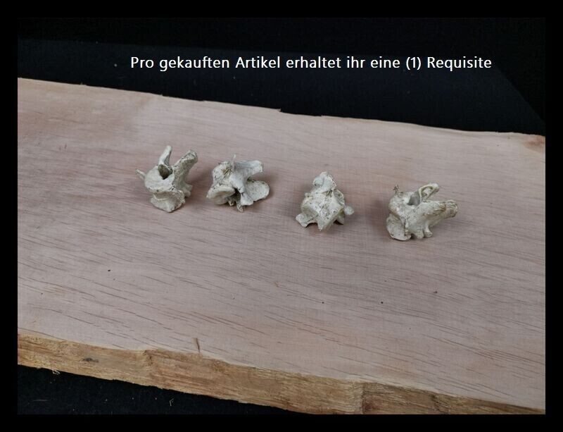 Wirbelknochen