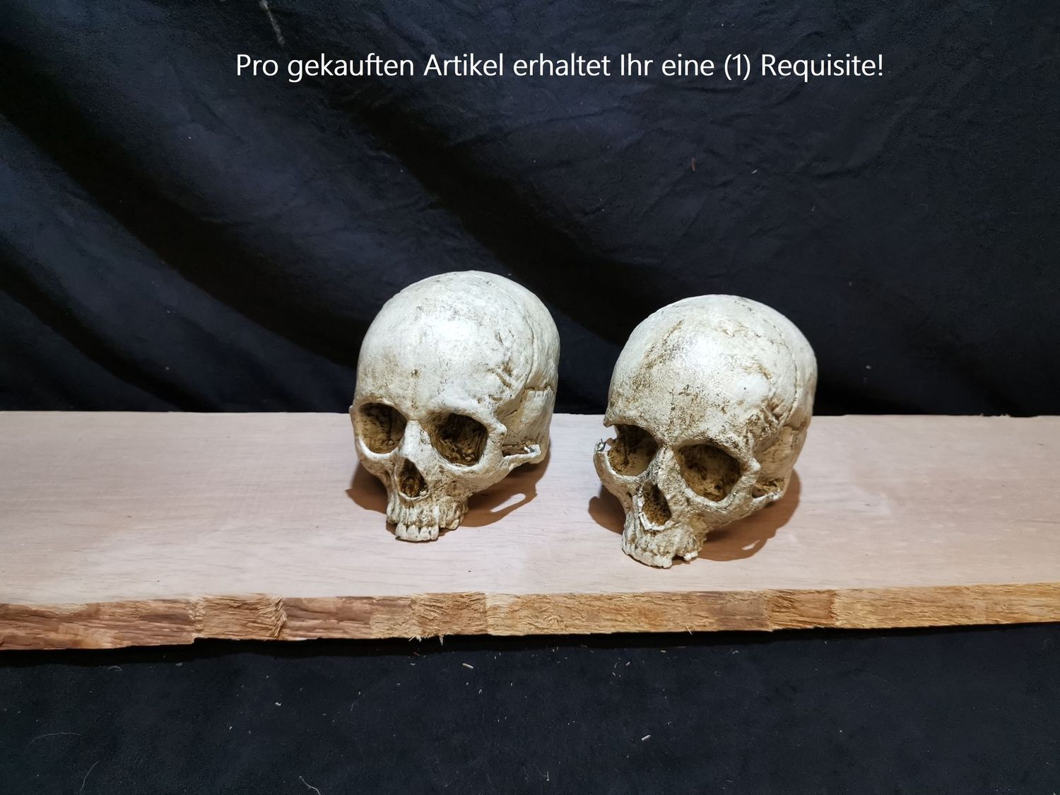 Menschenschädel
