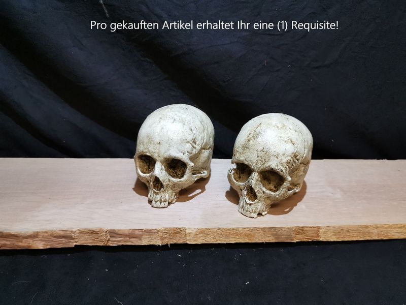 Menschenschädel
