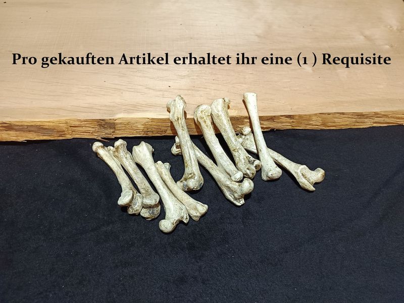 Knochen