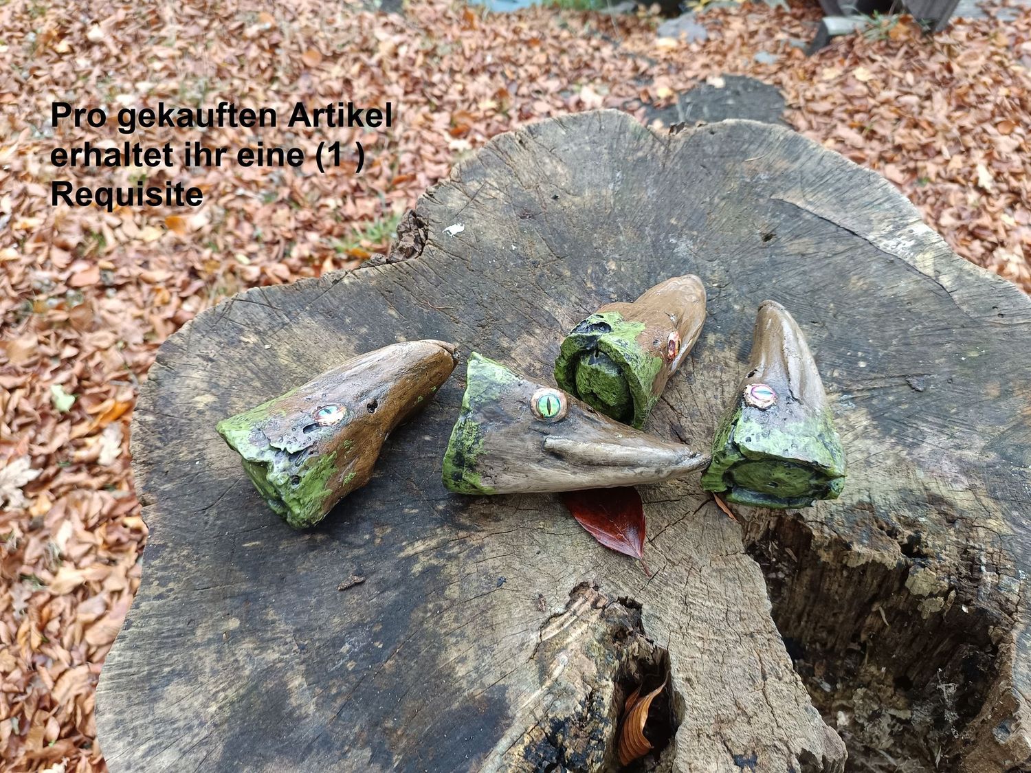 Gammliger Fischkopf