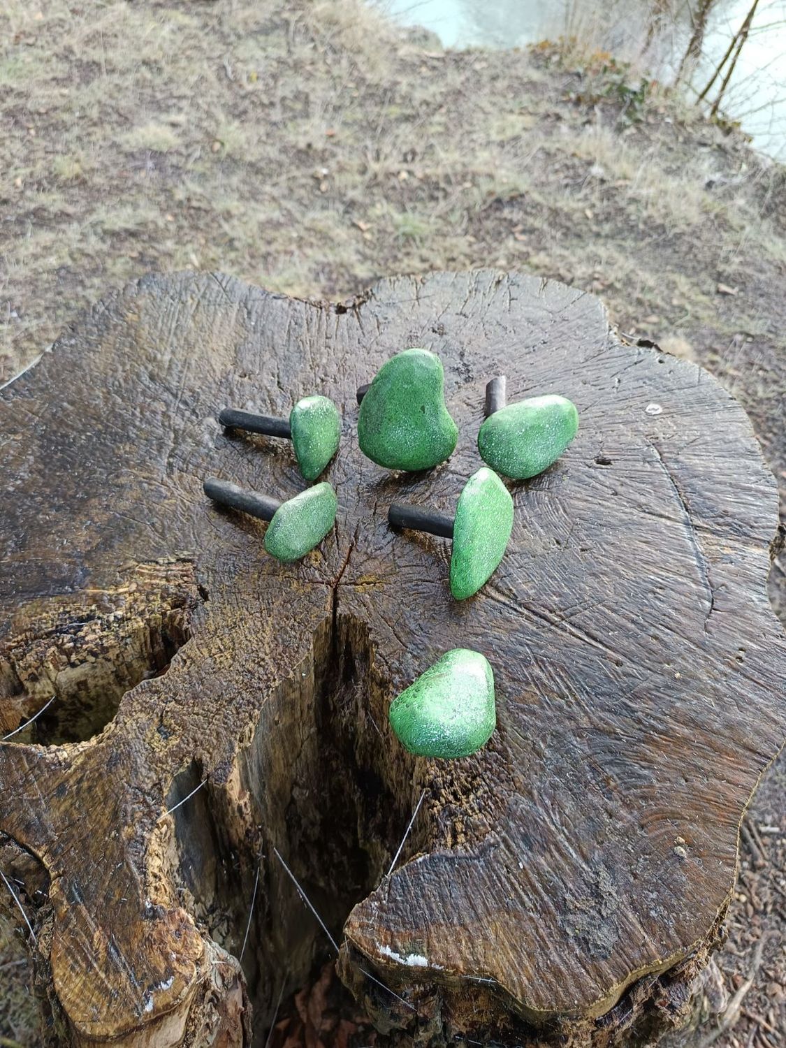 6 Pilze Set