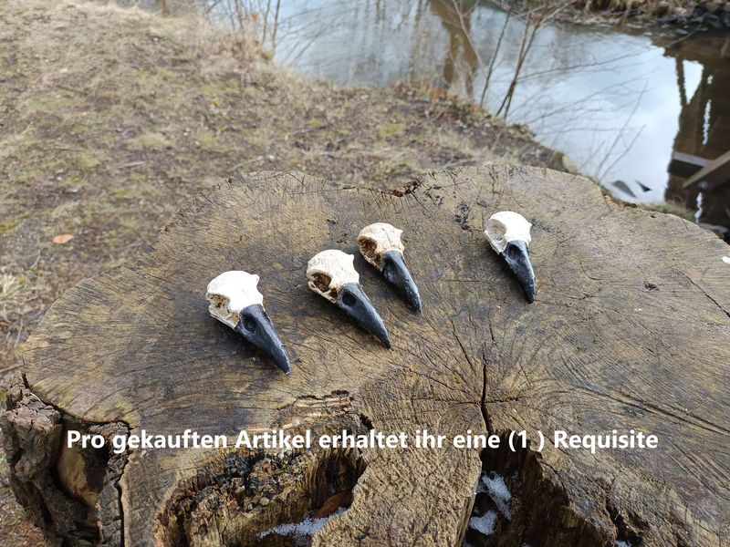Rabenschädel