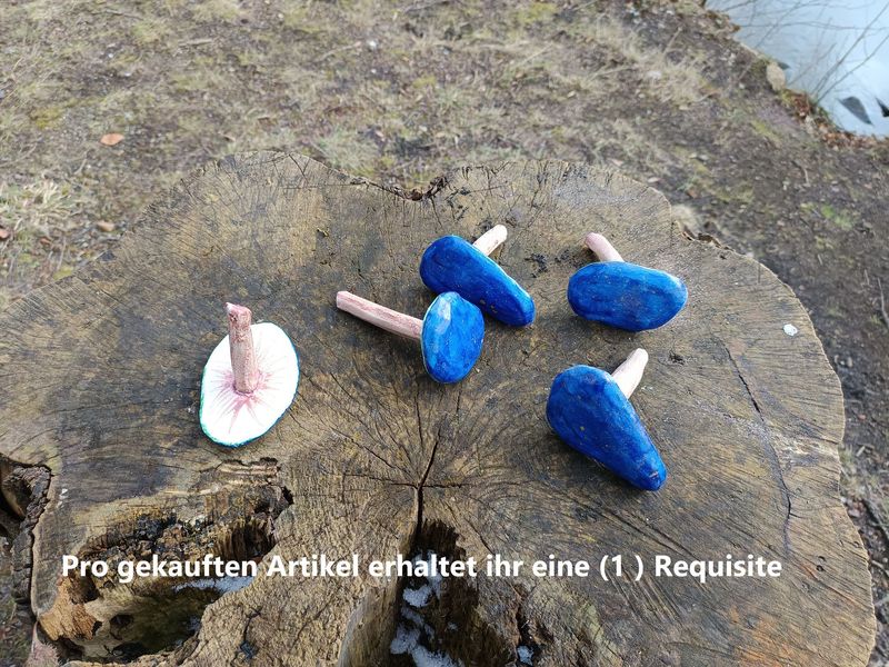Blaukappe (Pilz)
