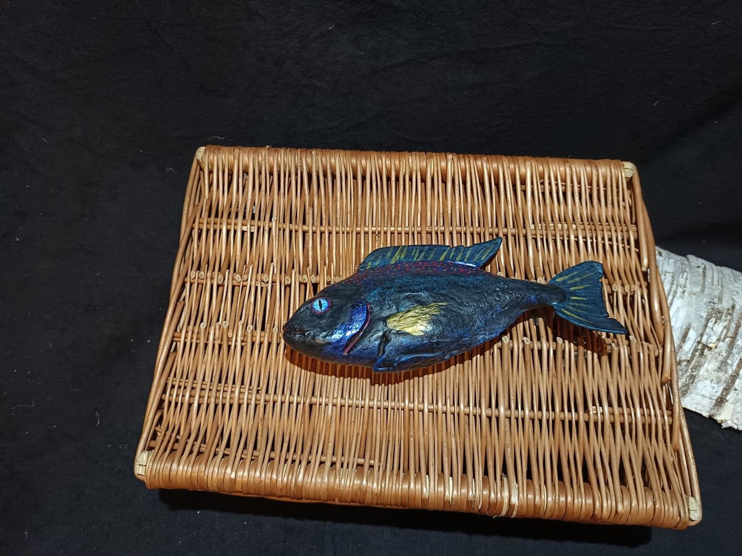 Prachtdorade (Fisch)