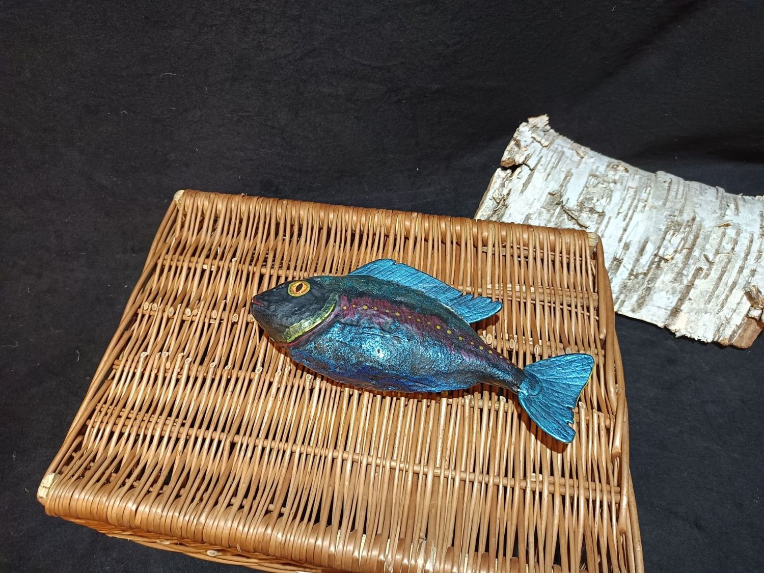 Prachtdorade (Fisch)