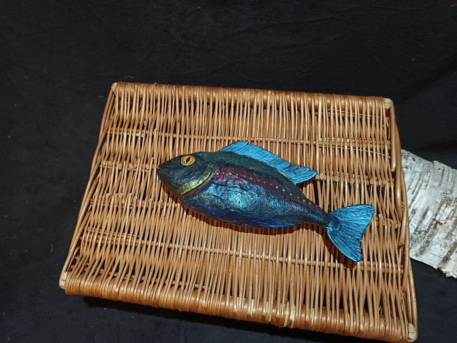 Prachtdorade (Fisch)