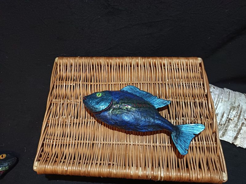 Prachtdorade (Fisch)