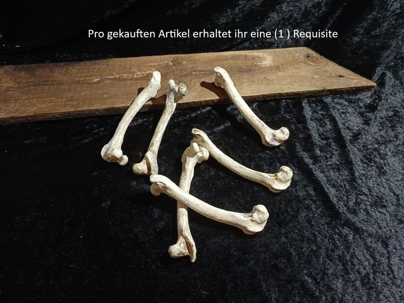 GroĂźer Knochen GroĂźer Knochen