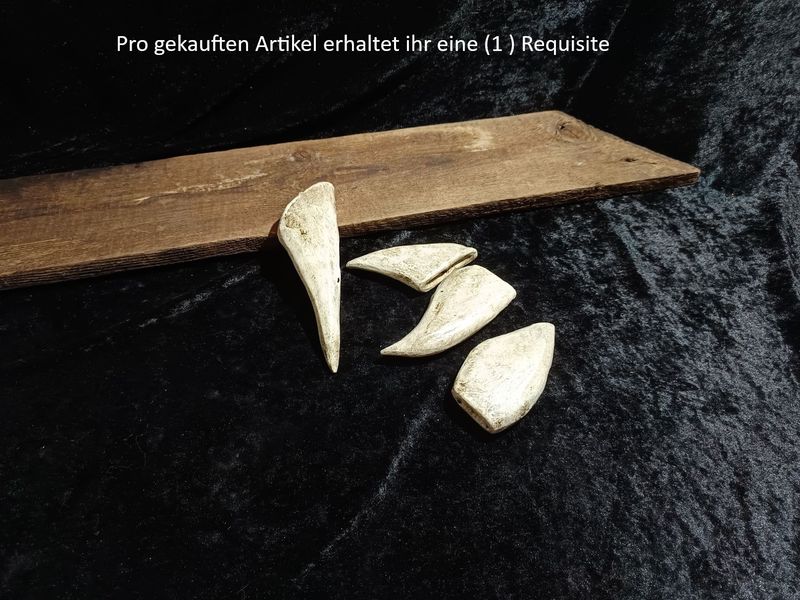 Knochenfragment Knochenfragment