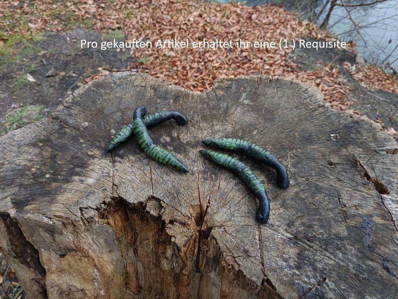 Malawischer Blutegel Malawischer Blutegel