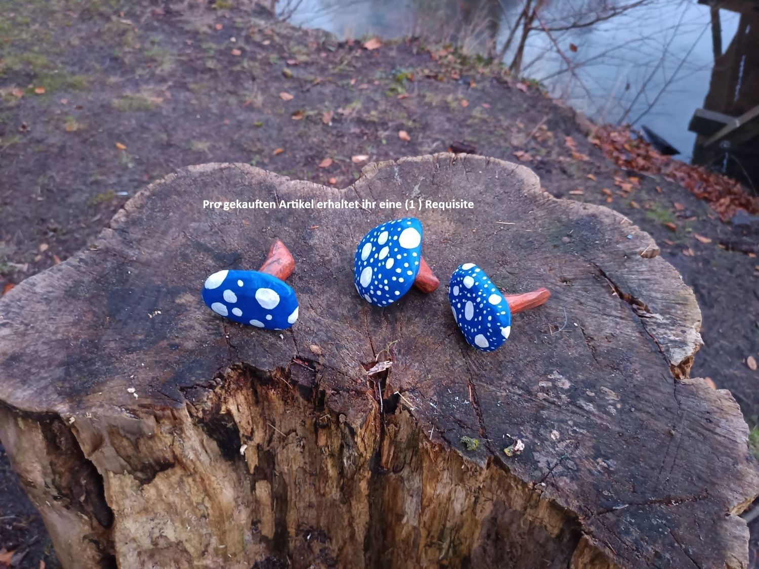 Blauer Mückenpilz Blauer Mückenpilz