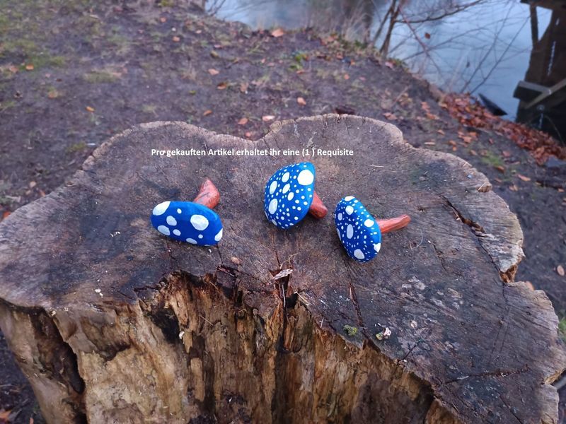 Blauer Mückenpilz Blauer Mückenpilz